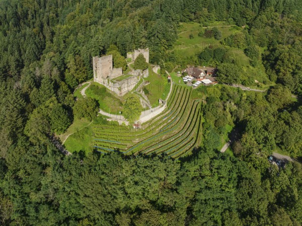 Schauenburg Castle, Oberkirch, Black Forest, Baden-Württemberg, Germany, Bühl, Baden-Württemberg, Germany