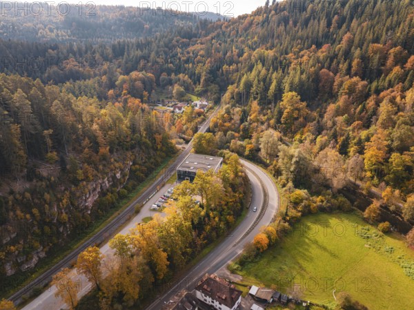 Winding country road through wooded autumn landscape, surrounded by trees, Calw, Black Forest, Germany
