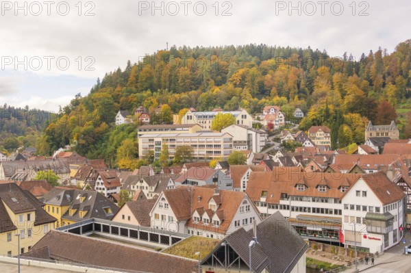 Village on a hill with half-timbered houses and wooded slopes in autumn, Calw, Black Forest, Germany