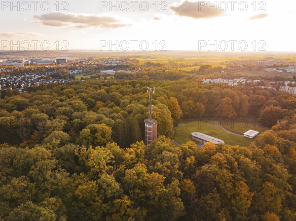 Forest area with water tower in autumn light, Sindelfingen, Böblingen district, Germany