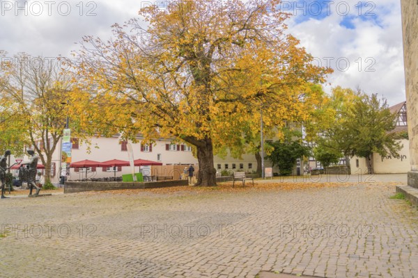 Spacious square with a large tree in autumn colors surrounded by buildings, Sindelfingen, Böblingen district, Germany