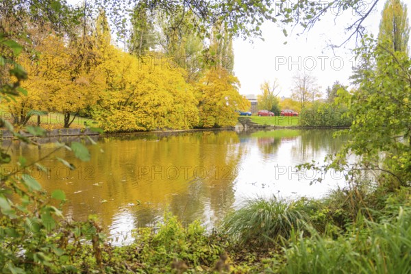 Quiet pond with golden autumn trees and reflections in the water, Sindelfingen, Böblingen district, Germany
