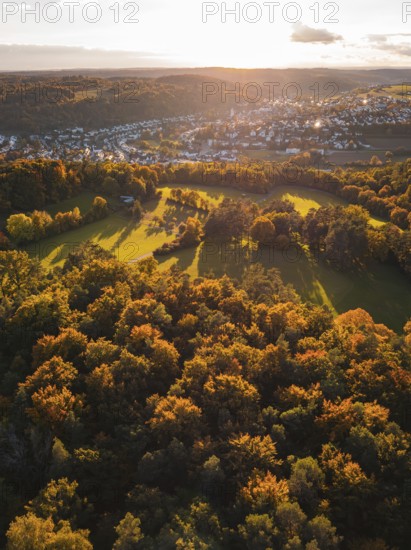 Dense tree cover in autumn colors with a view of an extensive field, Aidlingen, Böblingen district, Germany