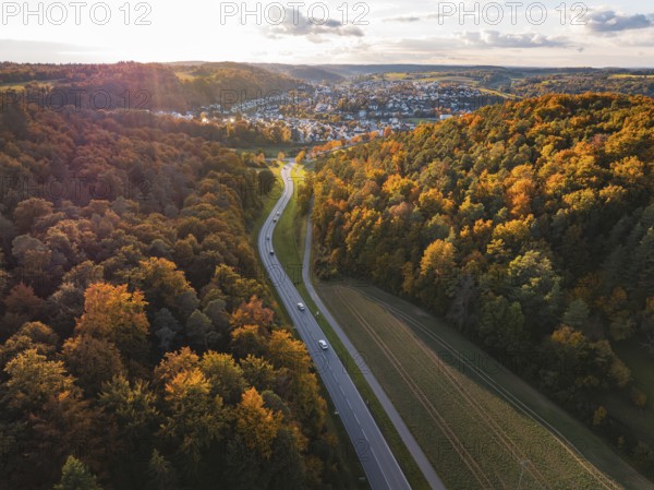 Forest landscape in autumn, crossed by a winding country road, Aidlingen, Böblingen district, Germany