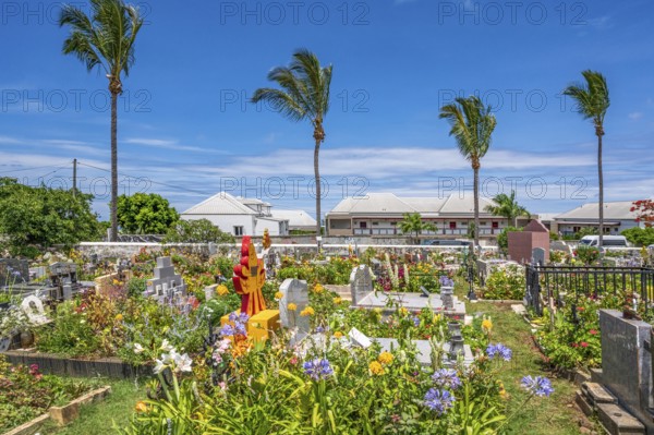 The flowery, multi-religious cemetery of Saint-Gilles-les-Hauts, with colorful graves and a Hindu shrine in the foreground, is dominated by four tall palm trees, while in the background there are modern buildings under a blue sky, Saint-Gilles-les-Hauts, La Reunion, France