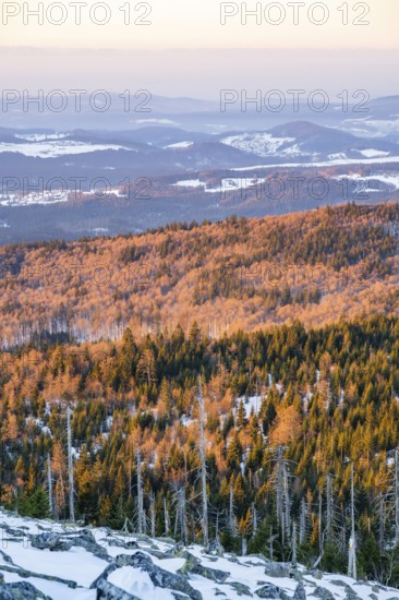 View from Mount Lusen over the hills of the bavarian forest at sunrise in winter, Bavaria, Germany