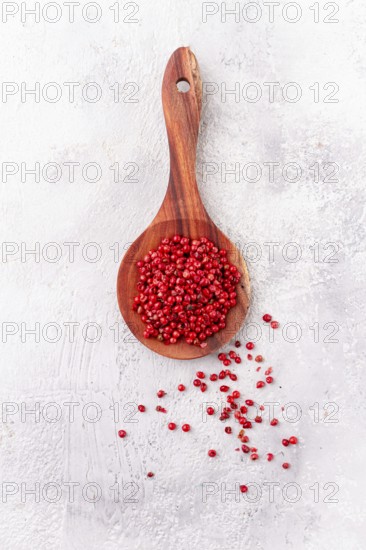 Wooden spoon with red peppercorns, on a light background, top view