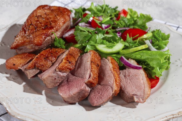 Grilled duck breast is beautifully presented beside a colorful salad of greens, cucumbers, tomatoes, and red onions, highlighting a well-prepared meal
