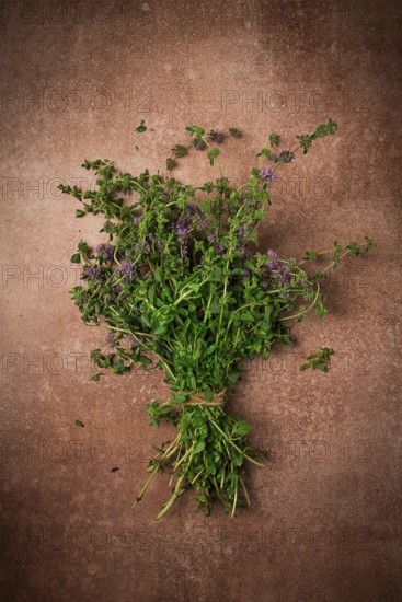 Bouquet of herb ombalo, marsh mint, bunch of mint, top view, on a brown background, spice, Georgian cuisine