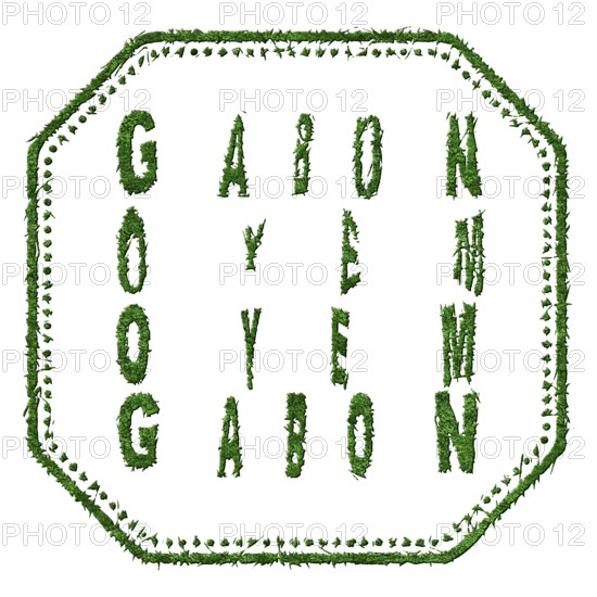 Gabon Oyem Sustainable Tourism Concept