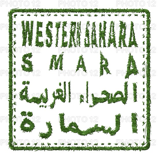 Western Sahara Smara Sustainable Tourism Concept
