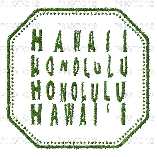 Hawaii Honolulu Sustainable Tourism Concept