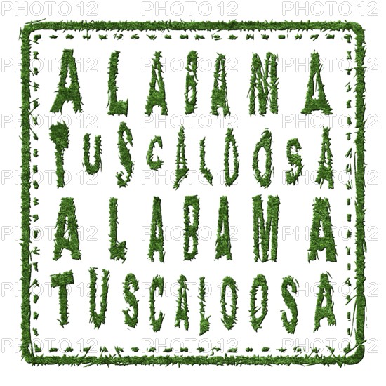Alabama Tuscaloosa Sustainable Tourism Concept