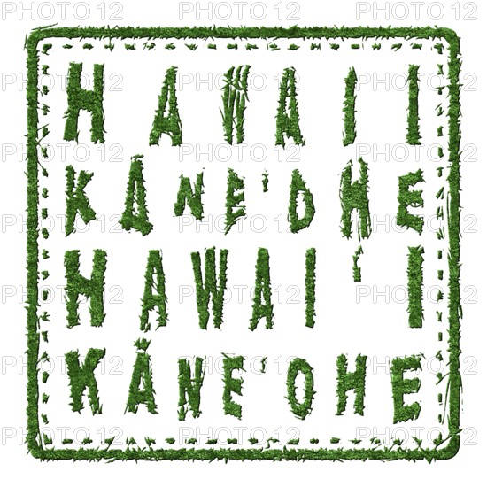 Hawaii Kaneohe Sustainable Tourism Concept