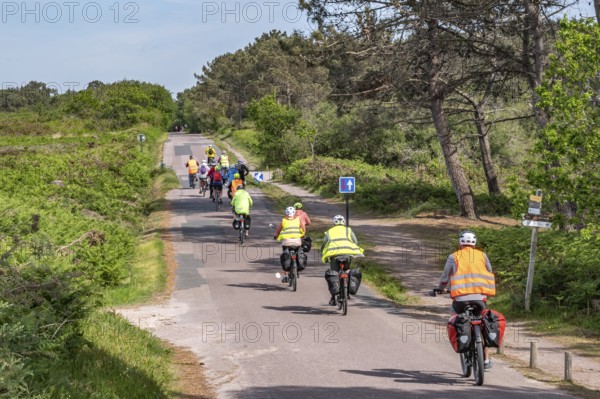 A group of cyclists, many wearing bright yellow or orange safety vests and equipped with panniers, ride on a paved coastal road through the landscape of Cap d'Erquy, Erquy, Cap d'Erquy, Côtes-d'Armor, Brittany region, France