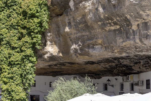 On the road to the white villages. Paths and narrow streets of a historic old town with many white houses were built around and in the mountain. Setenil de las Bodegas, Cadiz, Andalusia, Spain
