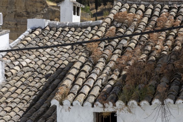On the road to the white villages. Beautiful roofs of the historic old town in Setenil de las Bodegas, Cadiz, Andalusia, Spain