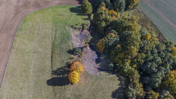 On a clear day, colorful trees stand on the edge of an extinct volcano. The autumn colors bring life to the landscape. A peaceful moment in nature. Železná hurka, Czech Republic