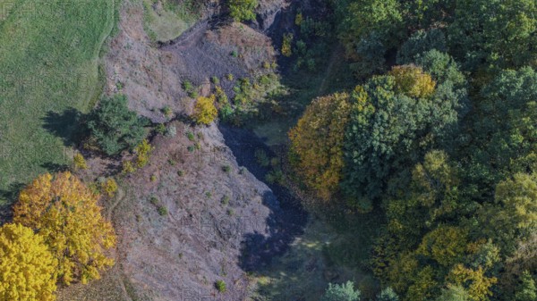 Colourful autumn leaves surround an extinct volcano. The landscape shows bright colors and a peaceful outdoor atmosphere. Perfect for a stroll. Železná hurka, Czech Republic
