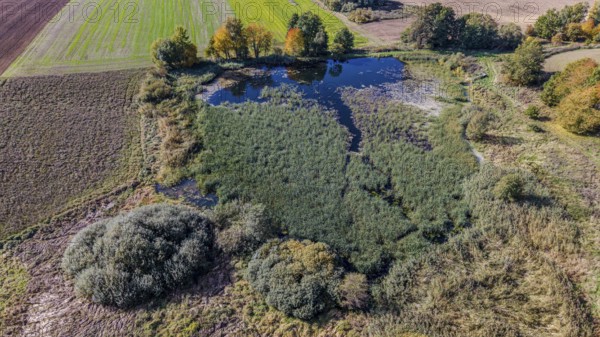 In a rural area, there is a green area with calm water. The trees change colors and show autumn tones. Železná hurka, Czech Republic