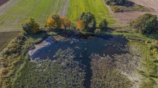 A quiet landscape in autumn shows a small pond surrounded by colorful trees and green meadows. The colors of the leaves are reflected in the water. Železná hurka, Czech Republic