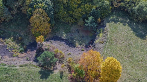 In a rural area, the scenery shows colorful autumn trees near an extinct volcano. The colors vary from yellow to orange and green. Železná hurka, Czech Republic