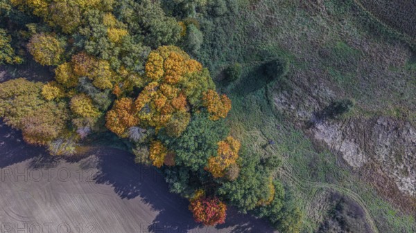 The trees on the edge of the forest show bright colors in autumn. The golden and red leaves illuminate the landscape. A gentle wind blows through the treetops. Železná hurka, Czech Republic
