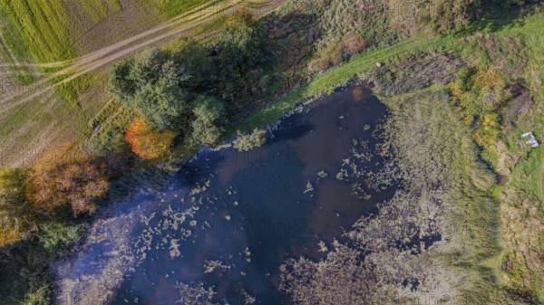 The pond is located in a rural area, surrounded by colorful foliage and green meadows. The sunlight is reflected in the water and creates a peaceful atmosphere. Železná hurka, Czech Republic