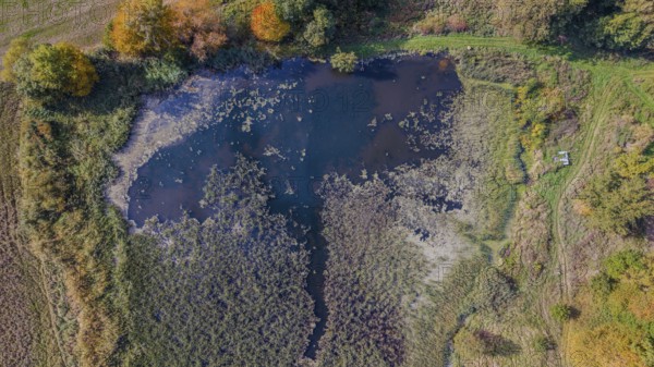 The pond in a rural area shows calm water and colorful foliage from the surrounding trees. The scene is illuminated by the autumn sun and appears peaceful. Železná hurka, Czech Republic