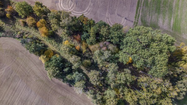 The forest has various colors that show autumn. The trees are close together and there are fields adjacent to each other. It's a nice, clear day. Železná hurka, Czech Republic