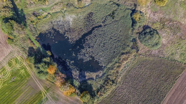 A quiet pond is nestled in the countryside, surrounded by colorful trees and fields. The colors of autumn shine in the landscape. Železná hurka, Czech Republic