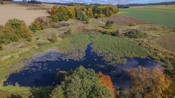 A quiet pond in nature shows impressive autumn colors. Trees with bright foliage surround the water, which glitters in the sunlight. The scene radiates peace and quiet. Železná hurka, Czech Republic