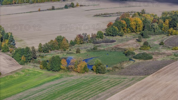 An extensive landscape shows glowing trees next to a small pond in autumn. Fields and meadows stretch out to the horizon, under a clear sky. Železná hurka, Czech Republic