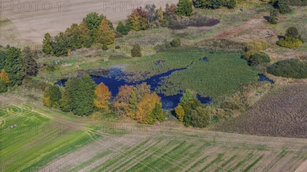 When the weather is clear, the picture shows an autumn landscape with a quiet pond. Colourful deciduous trees surround the pond, while adjacent fields shine in various shades of green. Železná hurka, Czech Republic