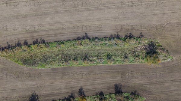 A narrow island with trees and shrubs stretches across a large, cultivated field. The sky is clear and the colors of the earth and plants are pleasant. Železná hurka, Czech Republic
