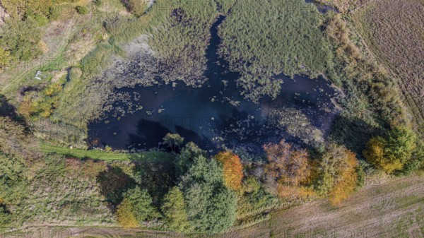 This autumn scene features a quiet pond surrounded by colorful trees and green vegetation. The landscape radiates peace and natural beauty. Železná hurka, Czech Republic