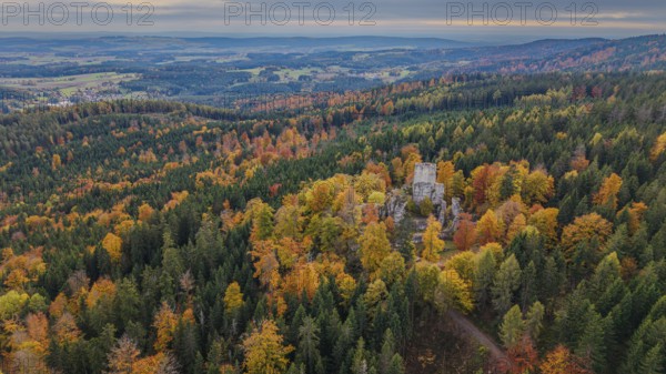 In the beautiful autumn landscape, the remains of the Weissenstein castle ruins stand in the middle of a colorful forest. The trees glow in different colors in mild weather. Friedenfels, Upper Palatinate