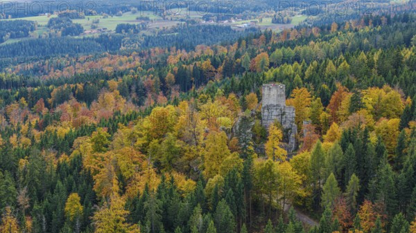 The ruins of Weissenstein Castle are at the center of a beautiful autumn landscape. The trees are colorful, while the rolling hills can be seen in the background. Friedenfels, Upper Palatinate