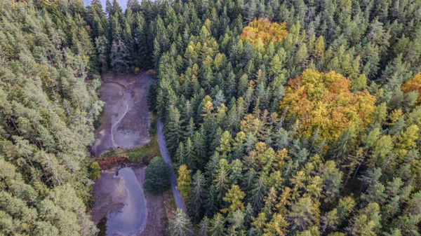 In the forest, the trees are colored in various autumn colors. Small bodies of water are visible, and a road snakes through the majestic plants. Falkenberg, Upper Palatinate
