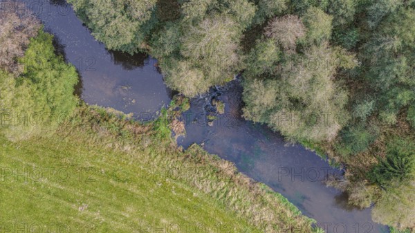 A quiet river snakes through a green landscape. Trees and shrubs grow on the shore, while sunlight illuminates the water surface. Falkenberg, Upper Palatinate