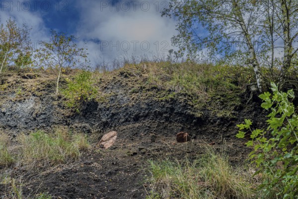 The outcrop shows layers of soil with gray soil and occasional plants. In the background, trees are visible on the ground, while clouds cover the sky. Železná hurka, Czech Republic