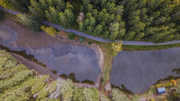 The picture shows two ponds that are surrounded by a forest. A narrow path runs along the ponds, while the autumn leaves are colorful. The scenery radiates peace. Falkenberg, Upper Palatinate