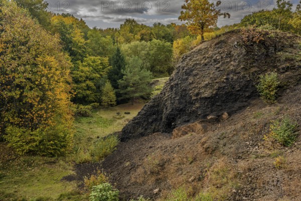 The scene shows an extinct volcano in autumn. Colourful trees surround a dark slope, while the sky is covered with grey clouds. A quiet place in nature. Železná hurka, Czech Republic