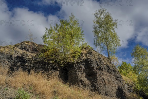 The rocky slope of an extinct volcano is covered with some trees and dry grass. The sky is cloudy and it is afternoon, which creates a calm atmosphere. Železná hurka, Czech Republic