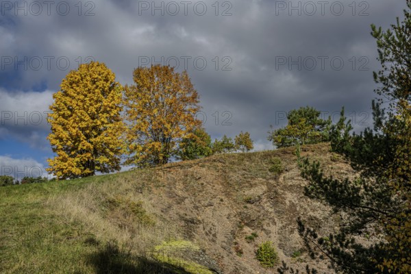 In autumn, yellow and orange trees stand on the edge of a hill. The sky is cloudy and the landscape shows rolling hills and vegetation. Železná hurka, Czech Republic