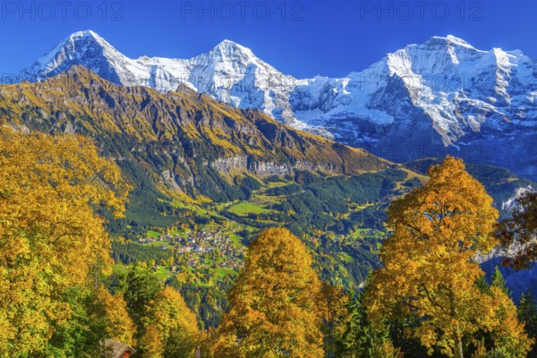Autumn landscape in the hamlet of Sulwald with views of Wengen and Eiger 3967m, Mönch 4110m and Jungfrau 4158m, Isenfluh, Lauterbrunnental, Bernese Oberland, Canton of Bern, Switzerland