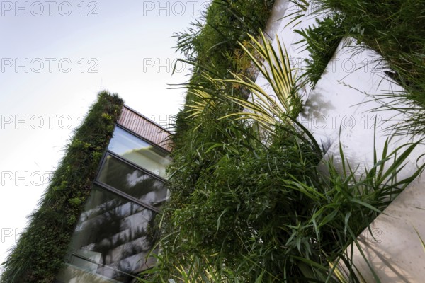 Green vertical living wall with root zone waste water treatment, exterior facade on modern building cooling with plants air conditioning Prague Czech republic