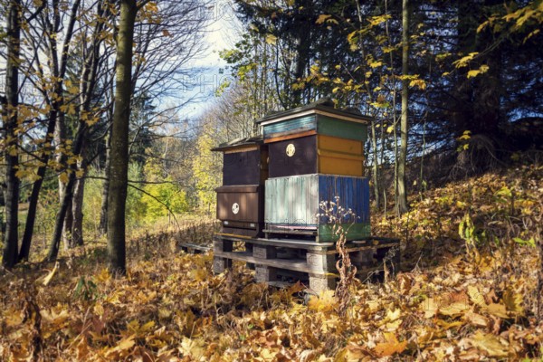 Colorful wooden beehives in beatiful autumn nature, sunny day Prague Czech republic