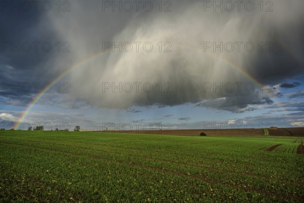 A bright rainbow stretches across a fresh, green field. Dark clouds pass by and create a dramatic atmosphere in the sky. The scene shows the beauty of nature. Landau an der Isar, Lower Bavaria