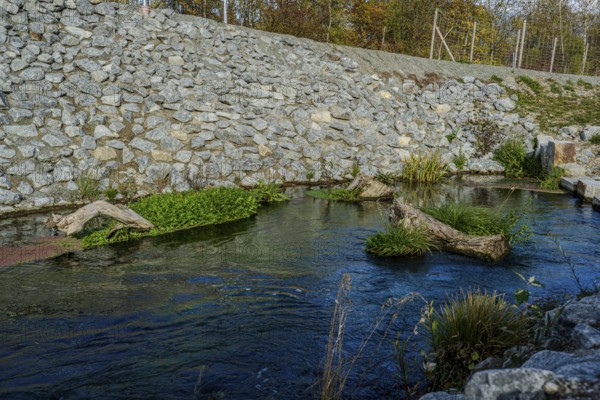 A calm stream with clear water flows through an area lined with stones. Green plants and pieces of wood lie in the water. The colors change due to the soft autumn light. Landau an der Isar, Lower Bavaria